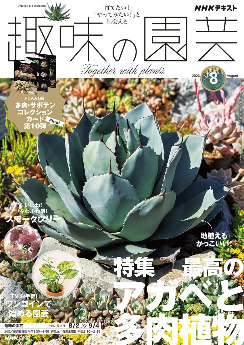 クレー「植物ー分析的なもの」、希少画集より、状態良好、新品高級額装付 趣味の園芸』2026年8月号の紹介～最高のアガベと多肉植物【とじ込み