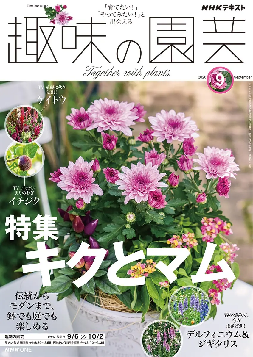 オベリスク（obelisk）とは｜園芸用語集｜みんなの趣味の園芸（NHK出版）