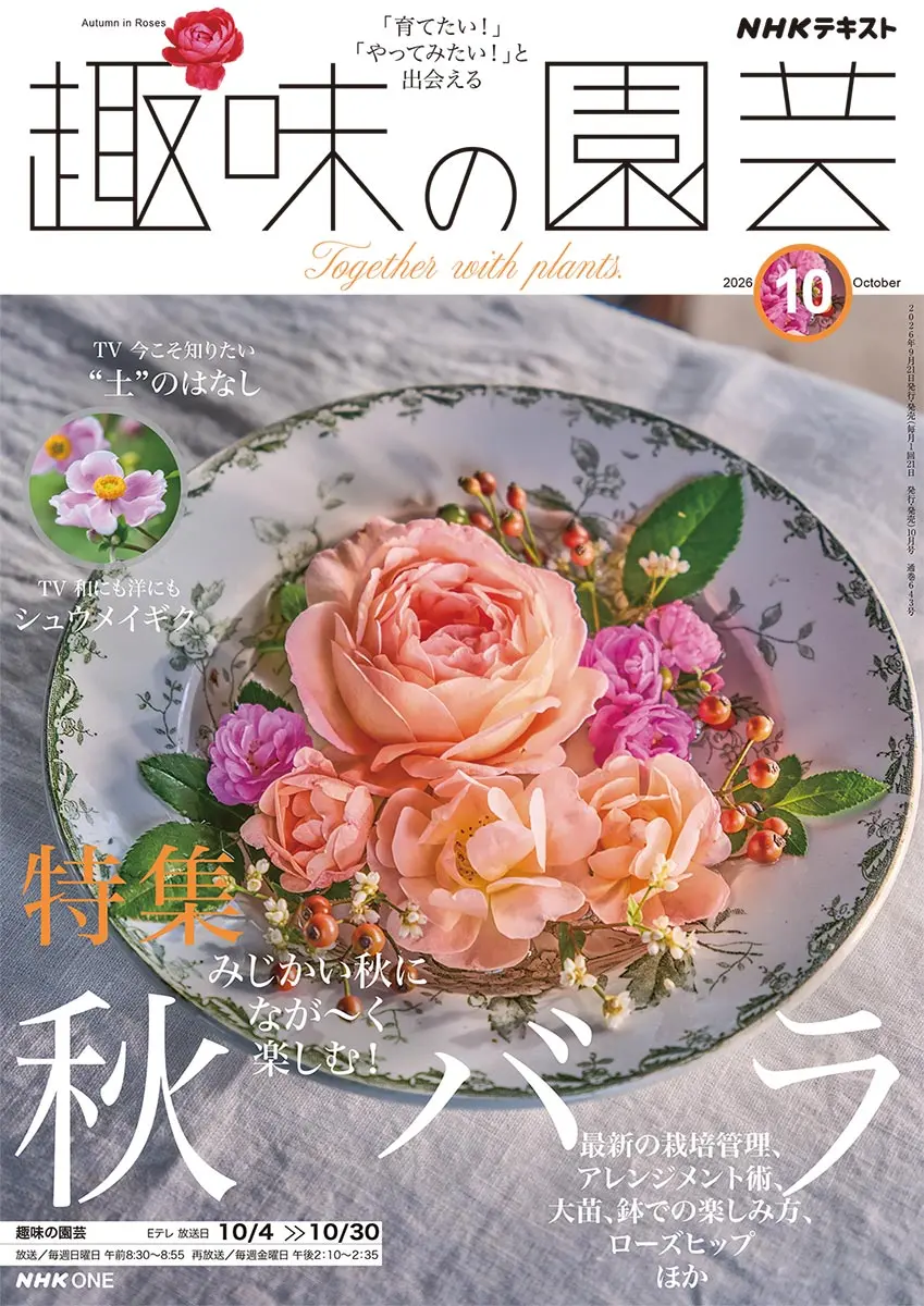 NHK趣味の園芸　エビネ　洋ラン春ラン　セントポーリア　ガーデニング　鉢花 エビネ（春咲き）とは｜育て方がわかる植物図鑑｜みんなの趣味の園芸