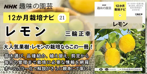 トミーの庭 レモンムースまさかトミー「見元ビオラ」のアルバム