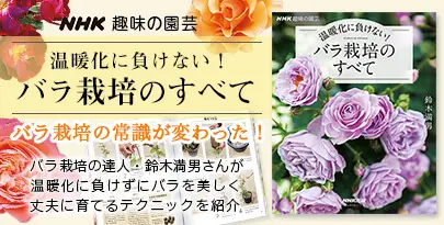 コノフィツム 'バラ典'｜園芸日記byconocono｜みんなの趣味