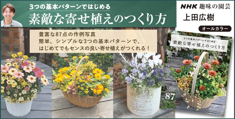 曽田園芸さんのグリーンリップ｜園芸日記by有島 薫｜みんなの趣味の