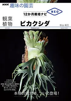 ビカクシダの種類（原種、品種）｜植物図鑑｜みんなの趣味の園芸（NHK