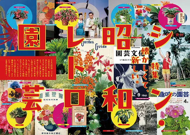 ヤマシャクヤクの種類(原種、品種)|植物図鑑|みんなの趣味の園芸 ヤマシャクヤクの種類(原種、品種)|植物図鑑|みんなの趣味の園芸