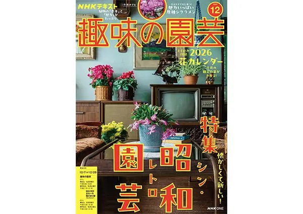 9月から11月に咲く菊の株分け植付は、4月から6月と書かれたもの