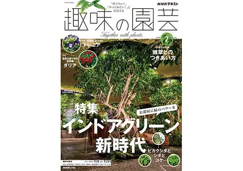 趣味の園芸』2026年7月号の紹介～インドアグリーン新時代〈観葉植物