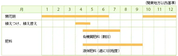 デンドロキラムの育て方・栽培方法｜植物図鑑｜みんなの趣味の園芸