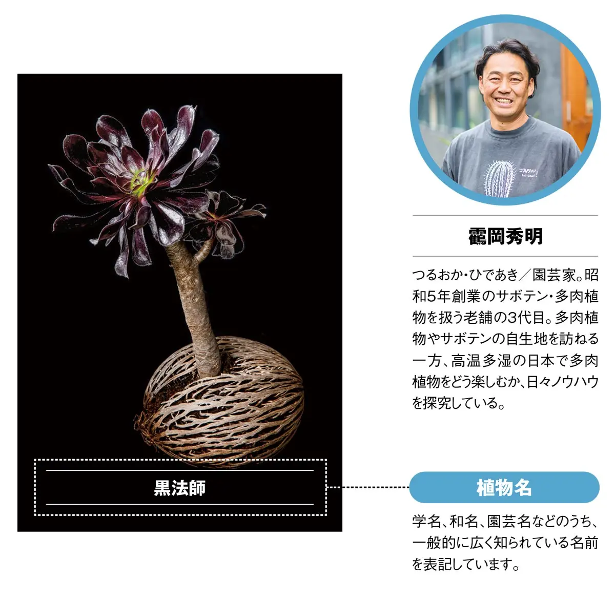 趣味の園芸』とじ込み付録「多肉植物・サボテンコレクションカード