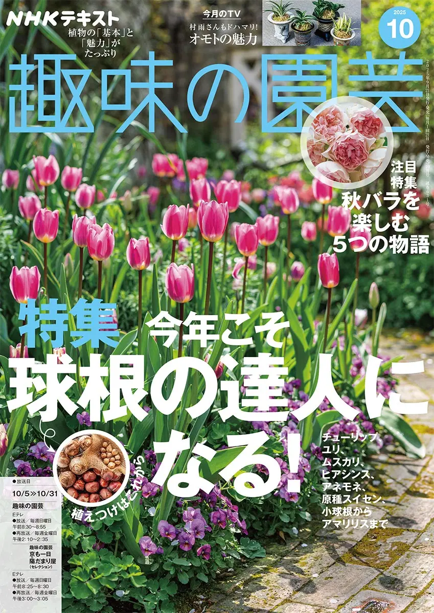 趣味の園芸』バックナンバーの紹介｜みんなの趣味の園芸（NHK出版）