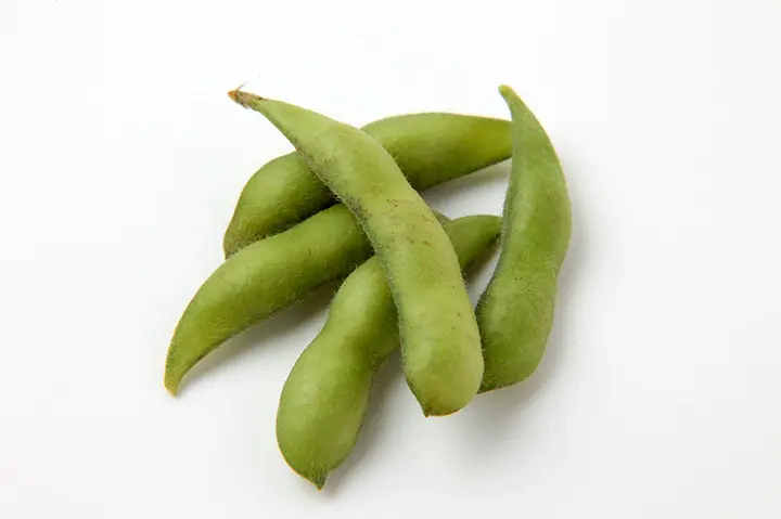 エダマメ(枝豆)の育て方・栽培方法|植物図鑑|みんなの趣味の エダマメ(枝豆)の育て方・栽培方法|植物図鑑|みんなの趣味の