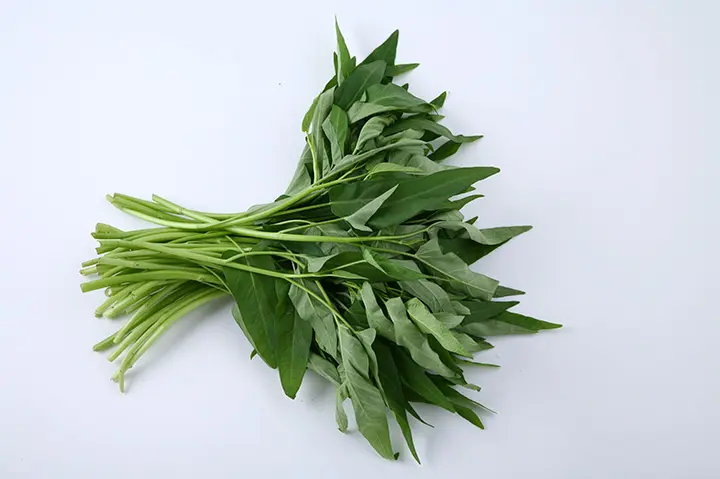 クウシンサイとは｜育て方がわかる植物図鑑｜みんなの趣味の園芸（NHK