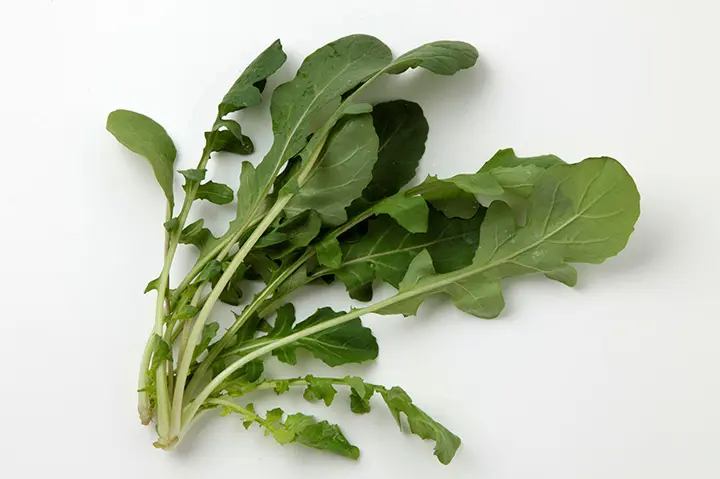 ルッコラ（ロケット）の育て方・栽培方法｜植物図鑑｜みんなの趣味の