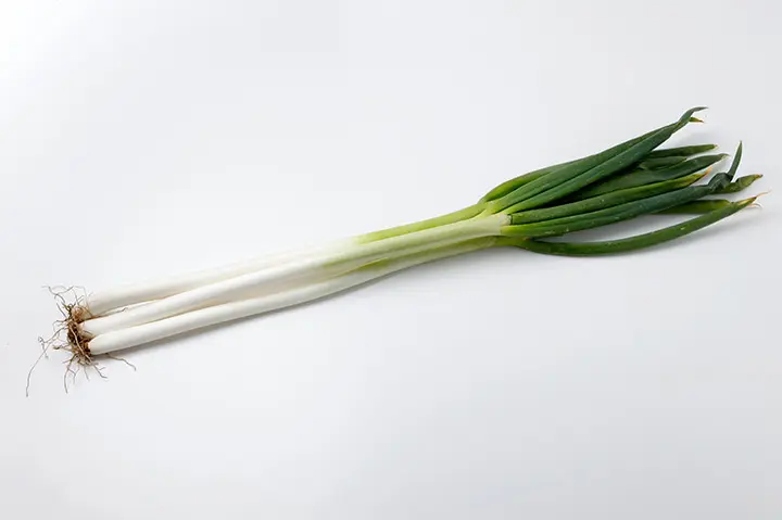 長ネギの育て方・栽培方法｜植物図鑑｜みんなの趣味の園芸（NHK出版）