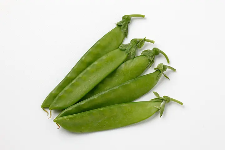 サヤエンドウとは｜育て方がわかる植物図鑑｜みんなの趣味の園芸（NHK