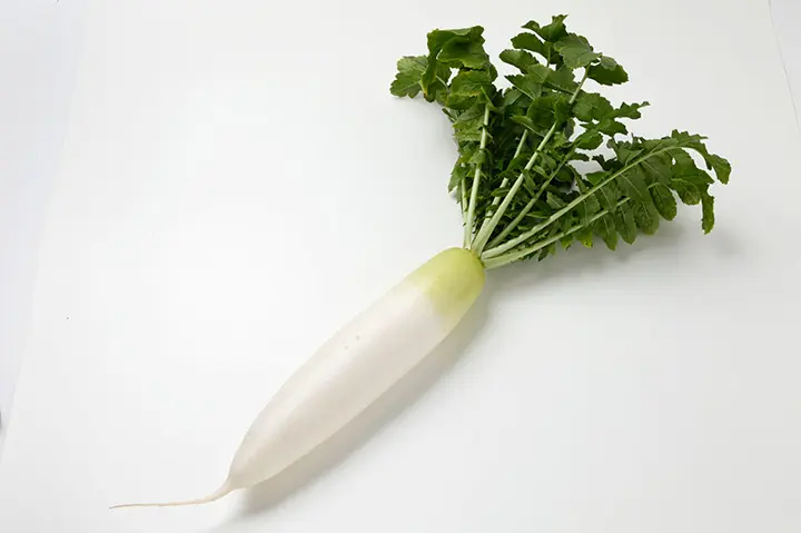 ダイコン（大根）とは｜育て方がわかる植物図鑑｜みんなの趣味の園芸