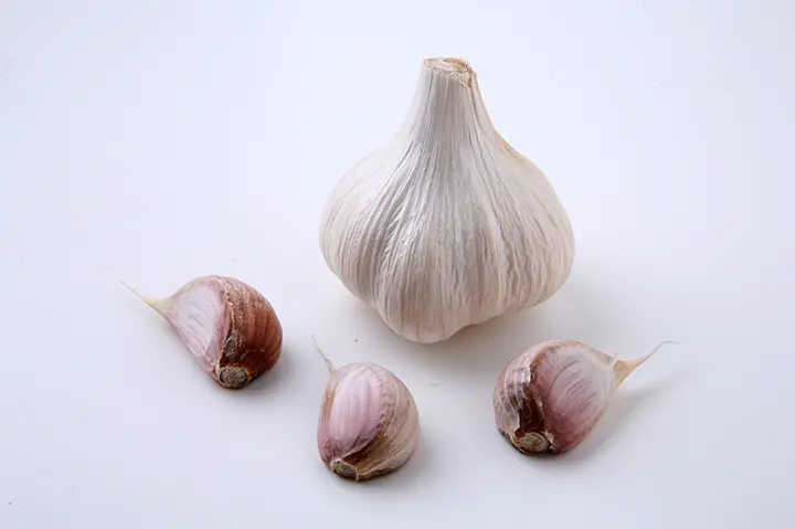 ニンニクとは｜育て方がわかる植物図鑑｜みんなの趣味の園芸（NHK出版）