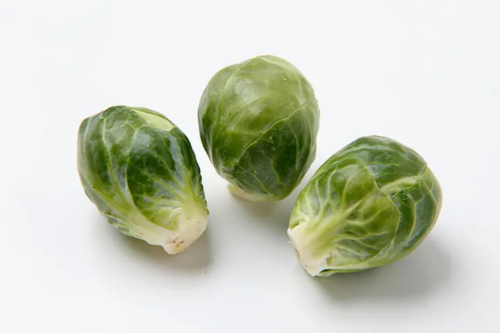 メキャベツ（芽キャベツ）の育て方・栽培方法｜植物図鑑｜みんなの趣味