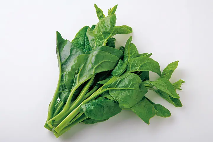 ツルムラサキ　苗　健康・野菜　つるむらさき　ビタミンC　植物/山野草 ツルムラサキとは｜育て方がわかる植物図鑑｜みんなの趣味の園芸（NHK