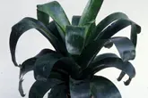 a_00000000604.jpg