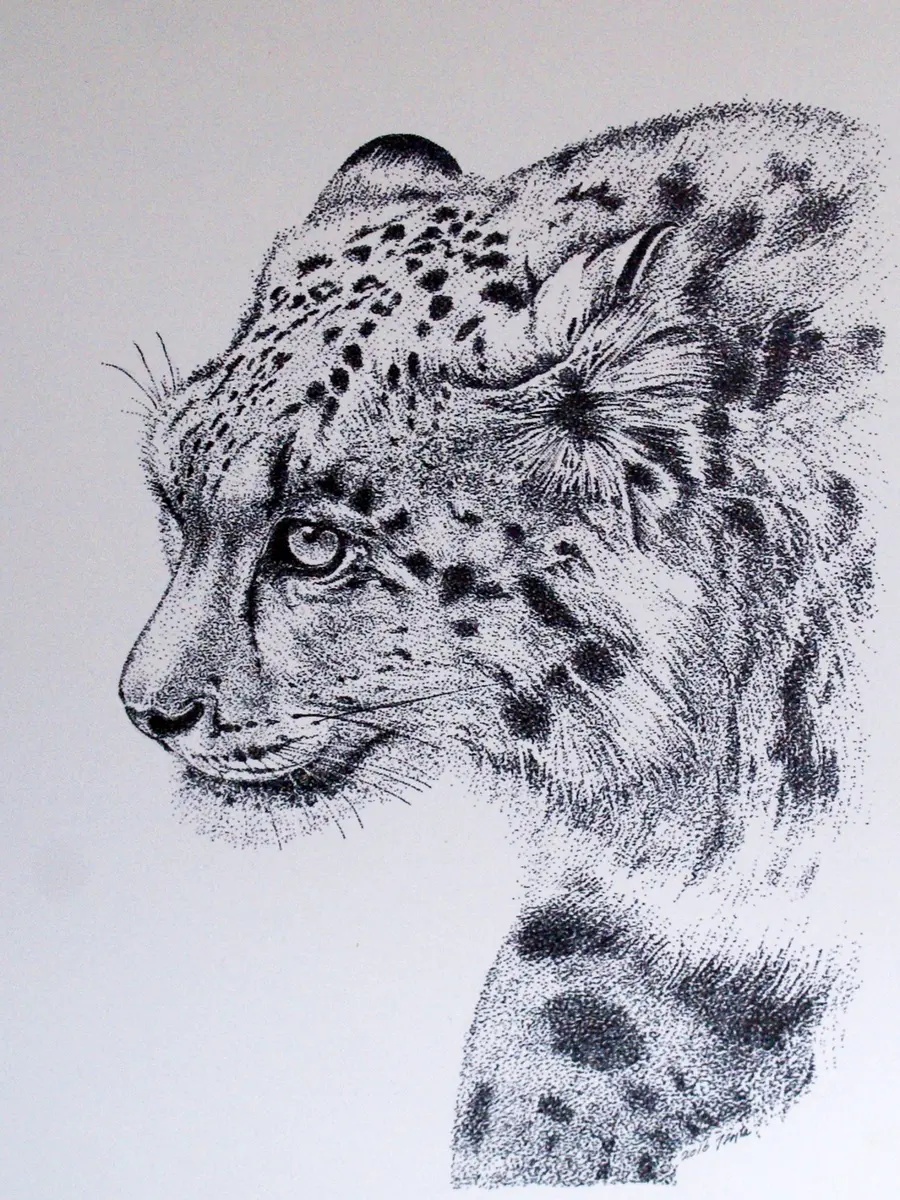 作家様 ユキヒョウ 豹 ヒョウ 絵画 水彩画 手描きイラスト 猫 原画