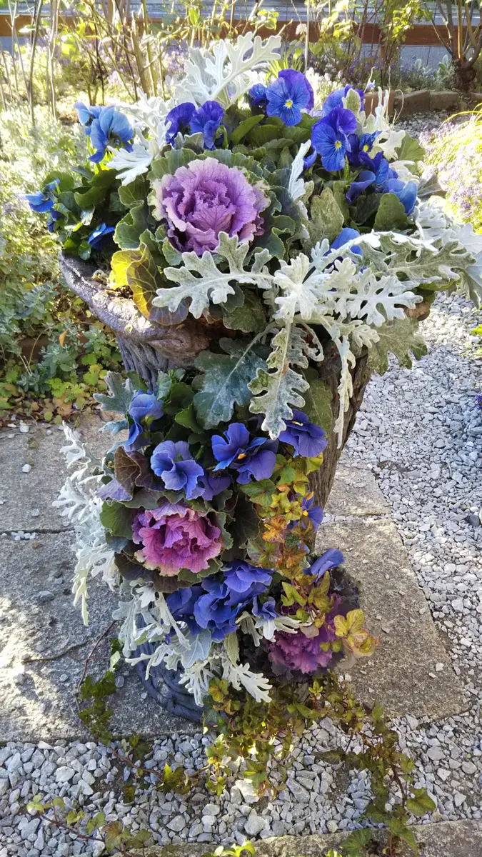 らせん美　紲鉢　綱木紋　Sスリット　植木鉢　新品　観葉植物　ホワイト　グレー 楽天市場】綱木紋(つなきもん) 鉢【Sスリット】(ギャザリング/寄せ植え