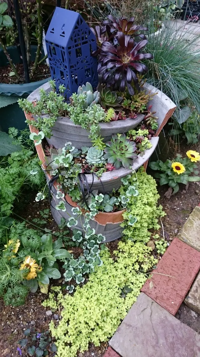 割れてしまった鉢に多肉植物を箱庭風に「rosegarden」のアルバム