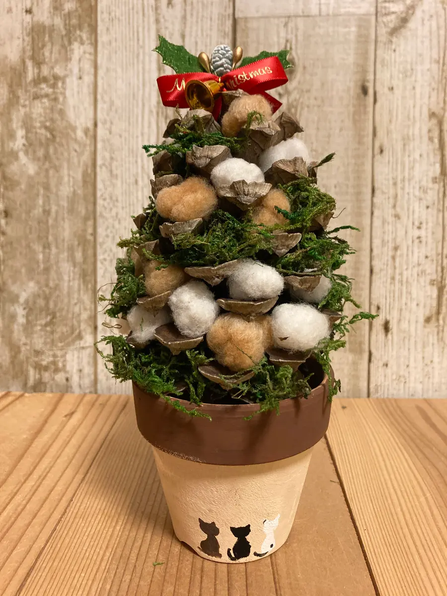 大王松の松ぼっくりを花友さんに頂いた「小さなお庭の恵み」の