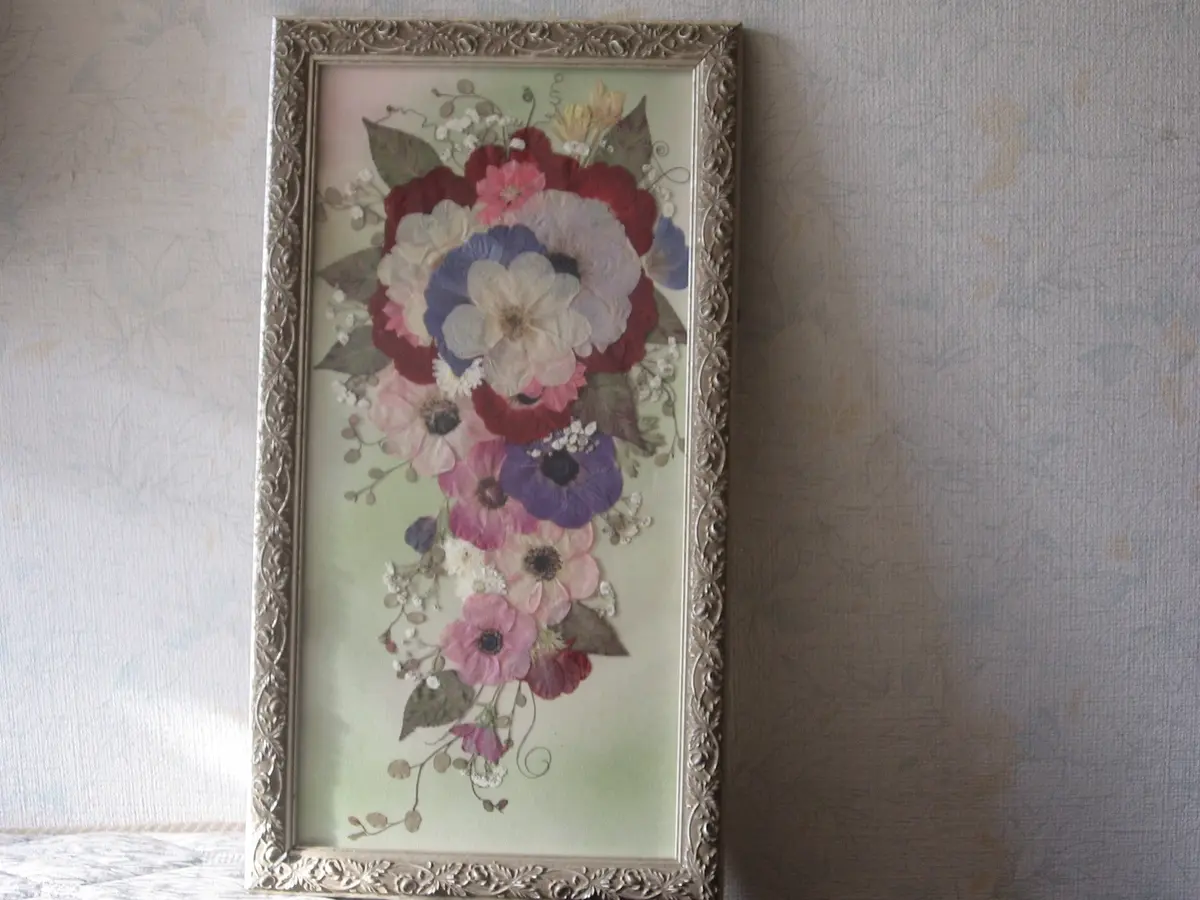 アレンバック ピンクのアネモネ アレンバック ピンクのアネモネ