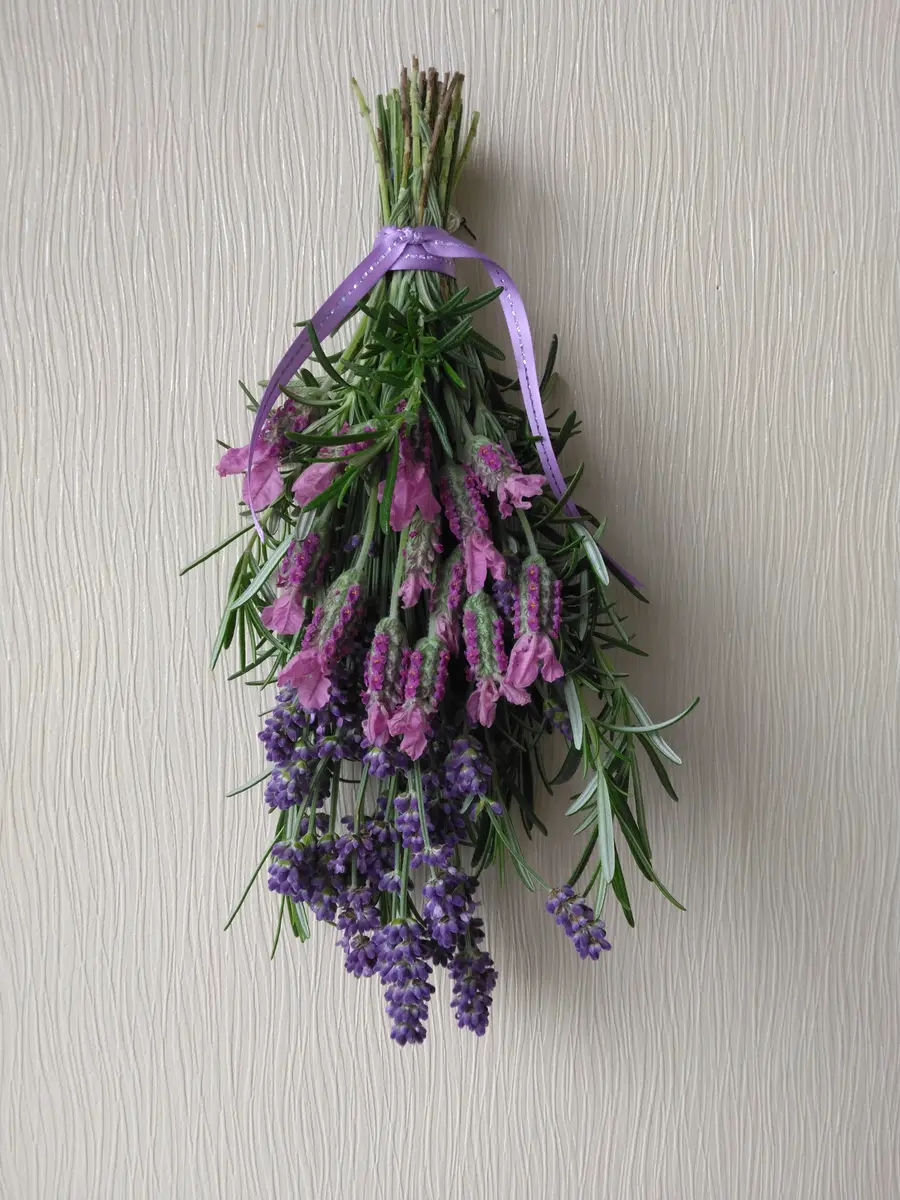 ラベンダー ローズマリー 庭の鉢植えのラベンダーとローズマリー「mygardenの花だより （庭の