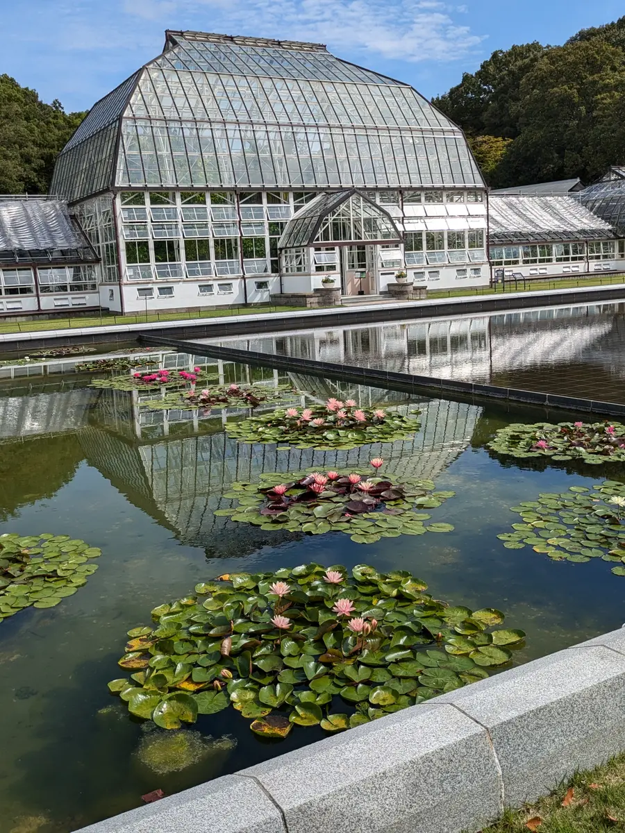 東山植物園温室「☆魅惑の建造物☆」のアルバム-みんなの趣味の園芸2301136