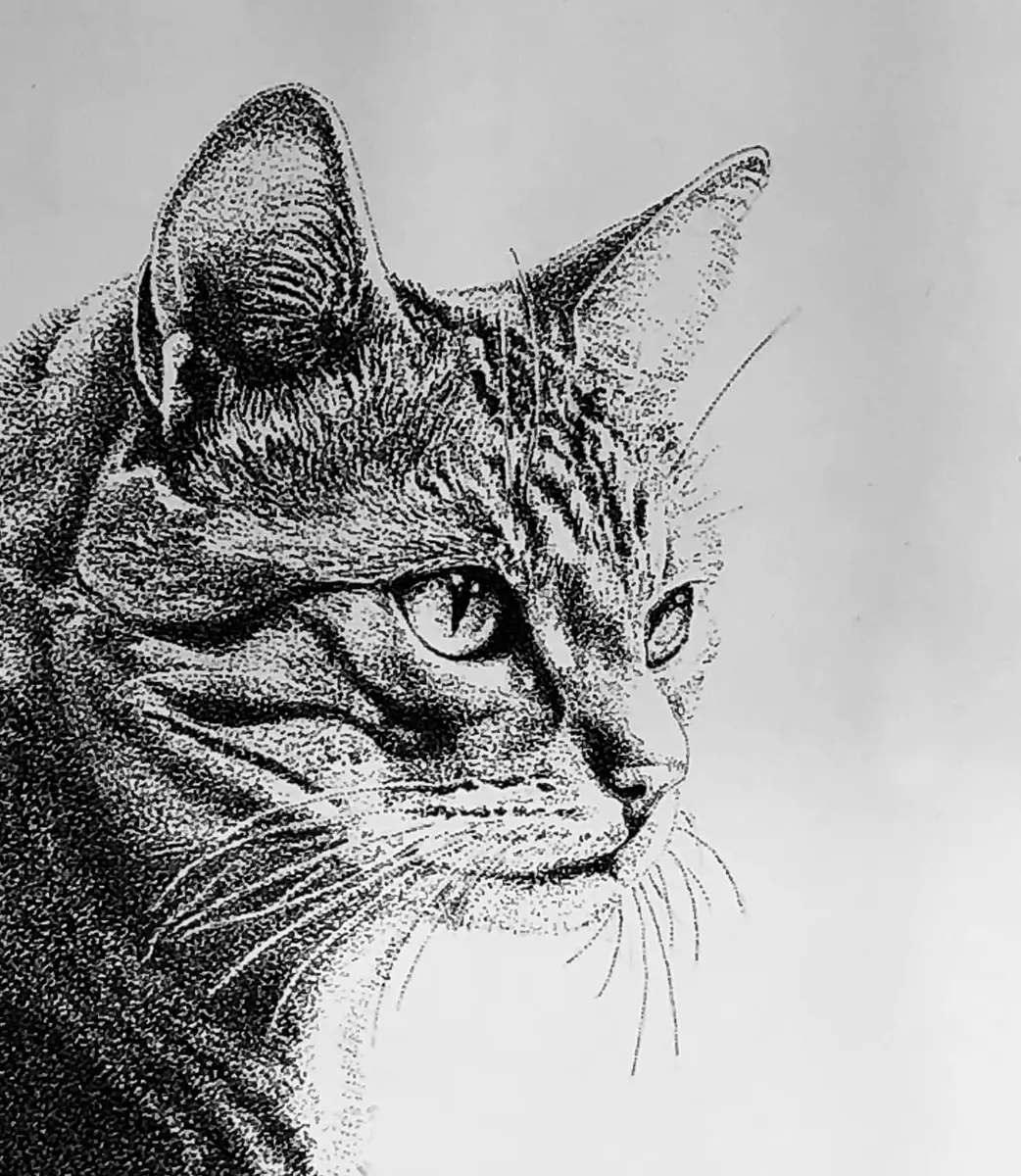 点描で猫を描きました。「ニャンコたち。」のアルバム-みんなの趣味の