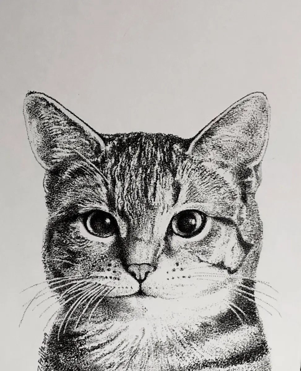 点描で猫を描きました。「ニャンコたち。」のアルバム-みんなの趣味の