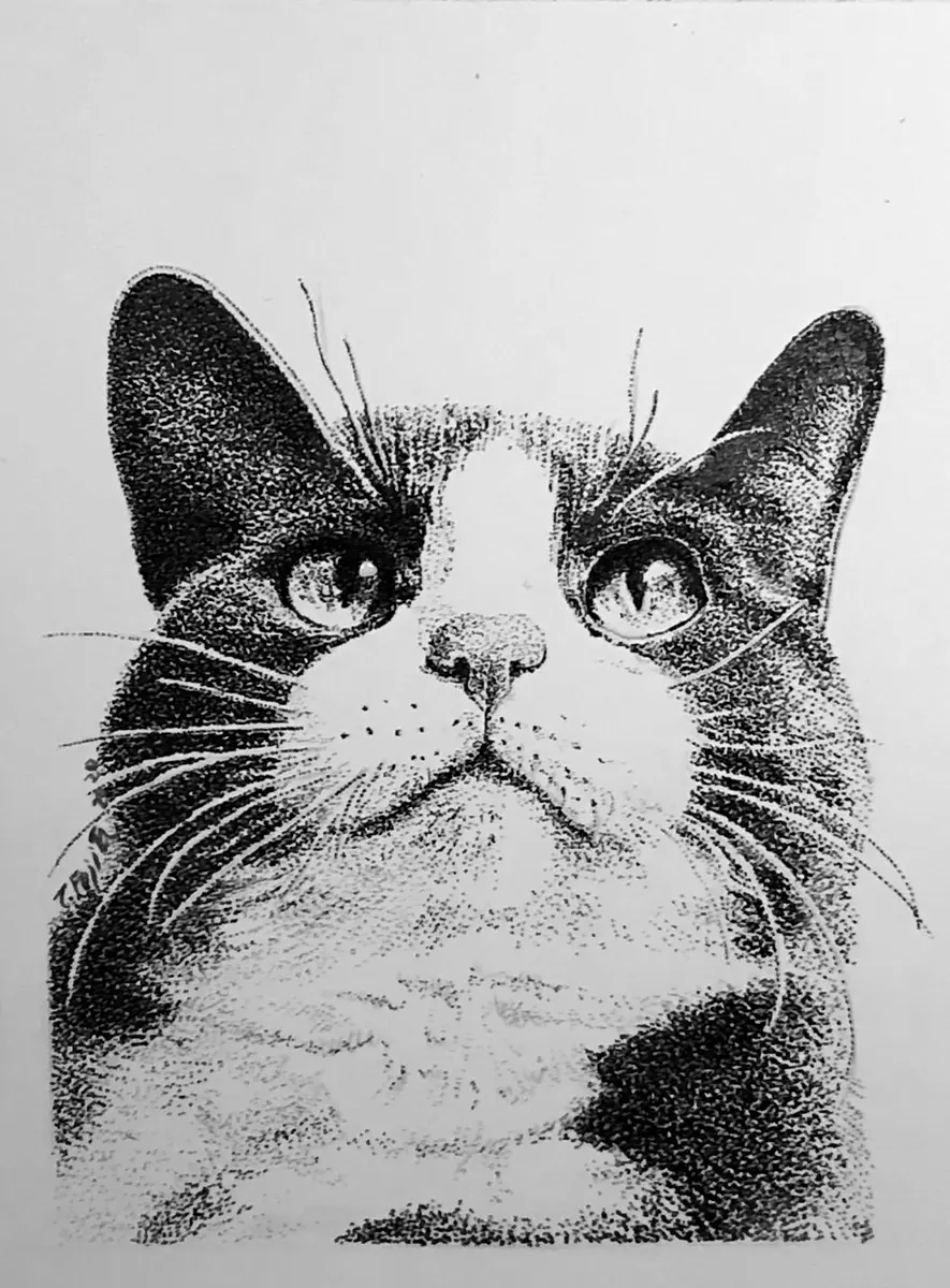 サインペンを使って点描で猫を描いてみ「ニャンコたち。」の