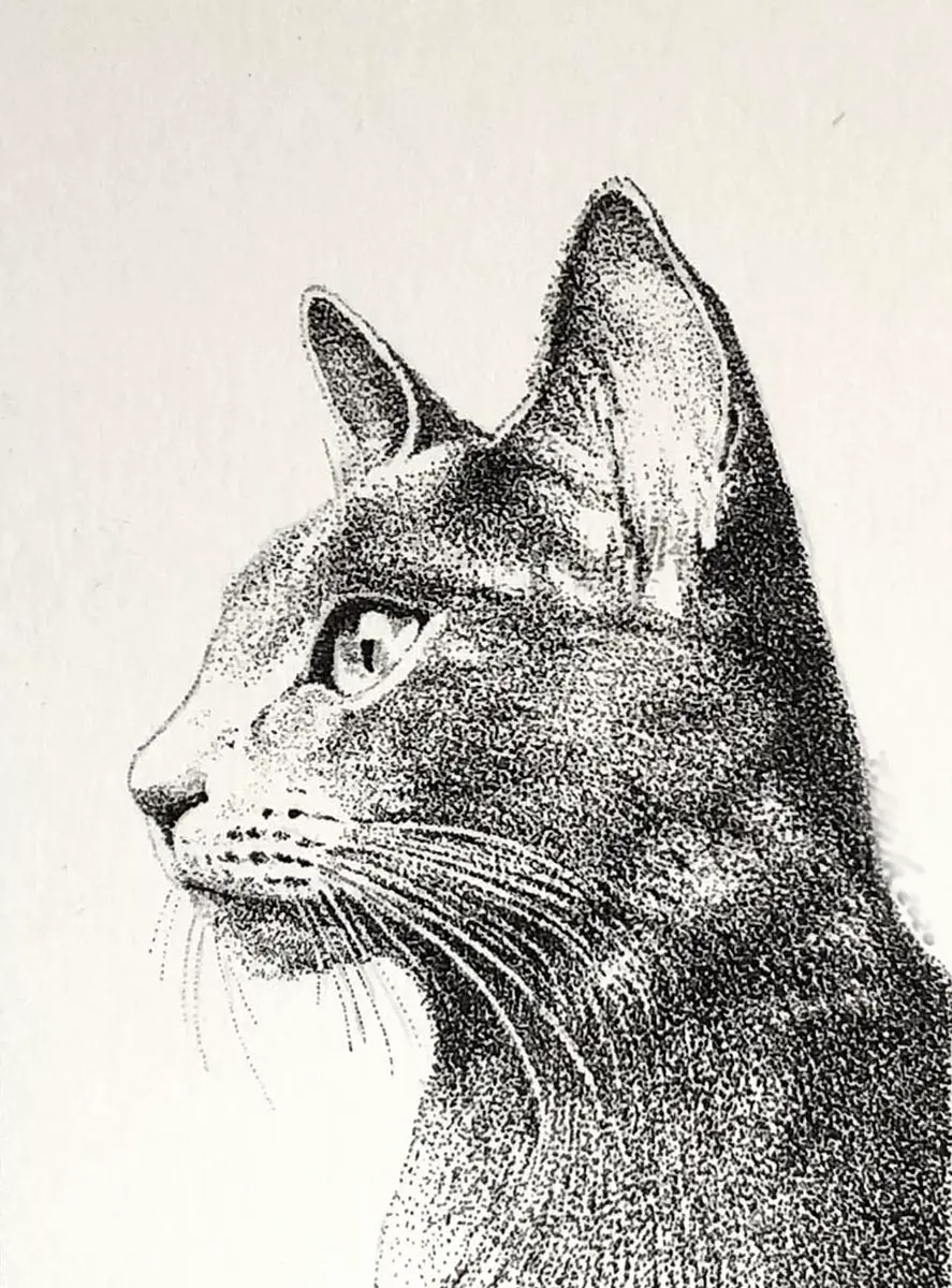 点描で猫を描きました。「ニャンコたち。」のアルバム-みんなの趣味の