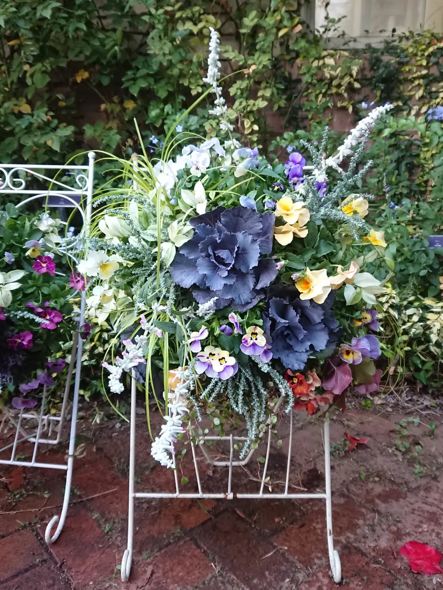 ビオラのハンギングバスケット202111作「寄せ植え、ハンギング