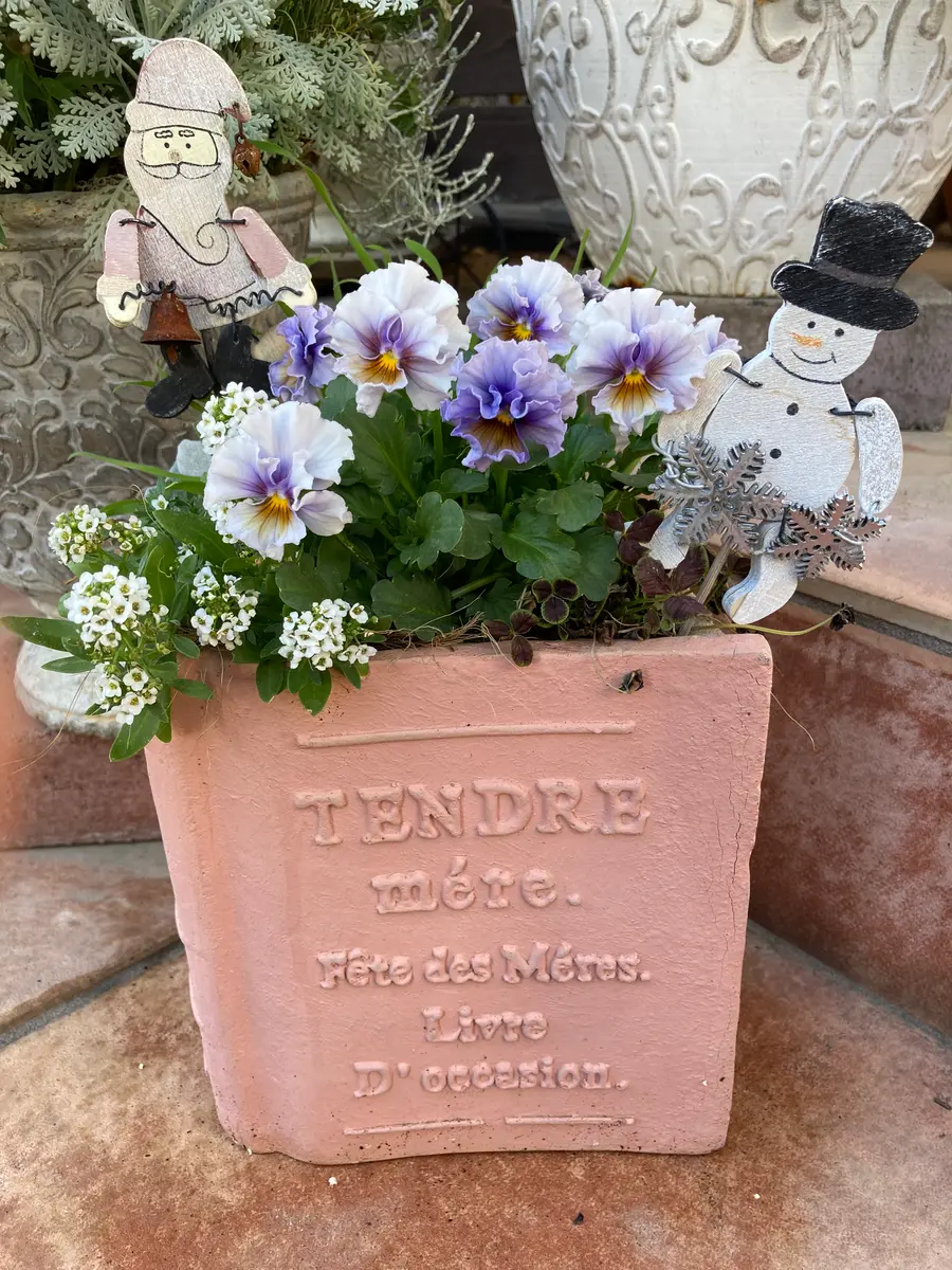 寄せ植え花アクアレール2個同梱