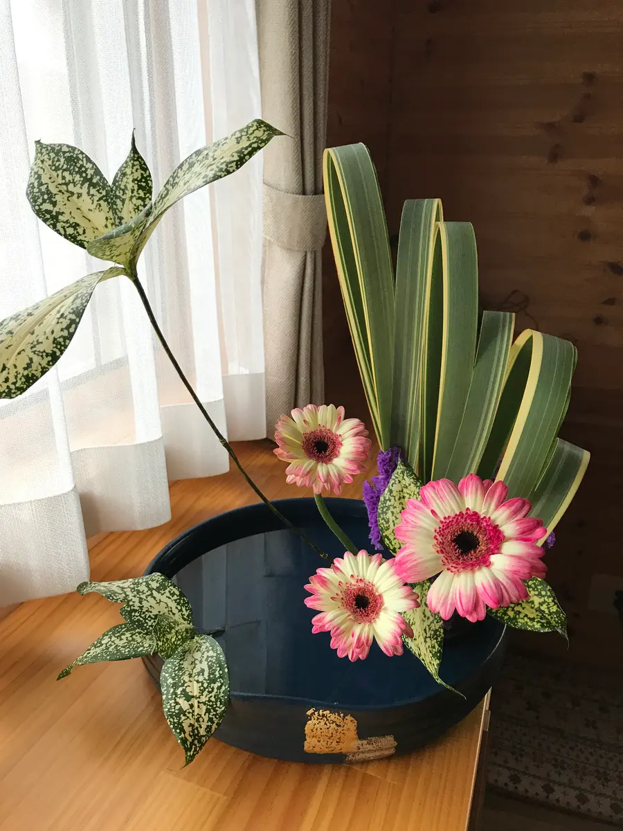 2019年7月ニューサイランをふたつに割「生け花」のアルバム