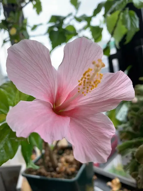 img_cache_a_27927_4_1660376312