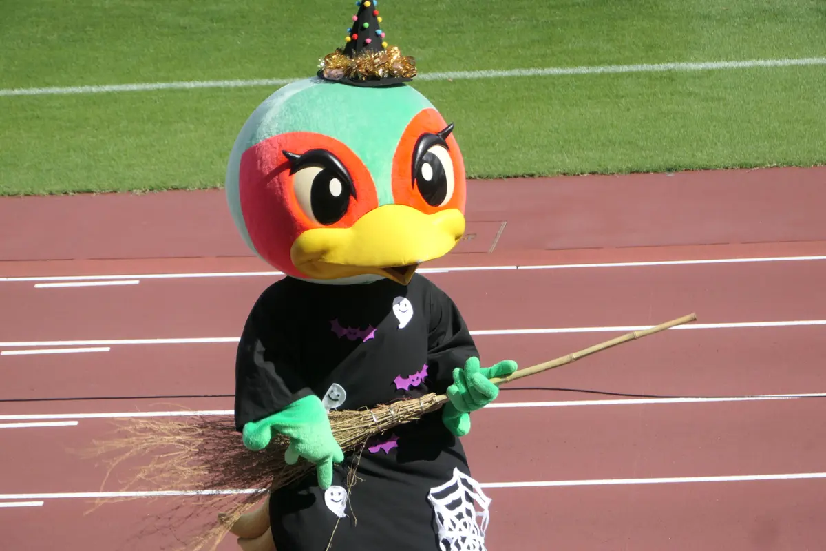 ファジ丸 サッカーファジアーノ岡山の「いろいろ」のアルバム