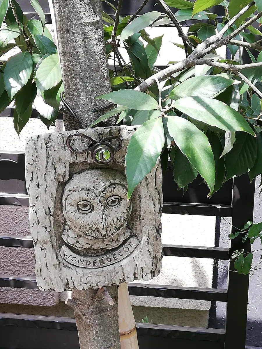 2017 フクロウ　ワンダーデコール　イヤープレート　イングリッシュガーデン 🦉フクロウのイヤープレート(ワンダー「かよぽちの仲間とガーデン