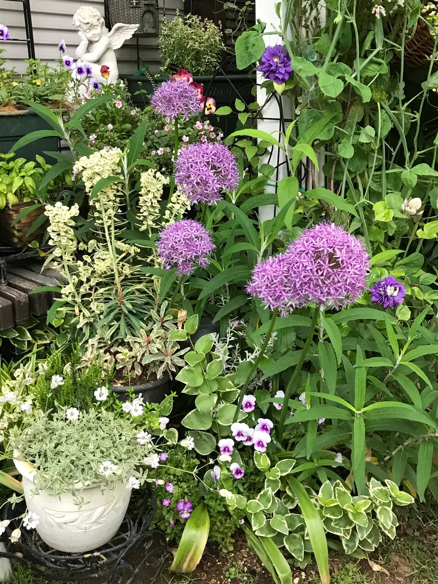 マイセントリオ （花・虫・果物） マイセン トリオ（花・虫・果物） - メルカリ