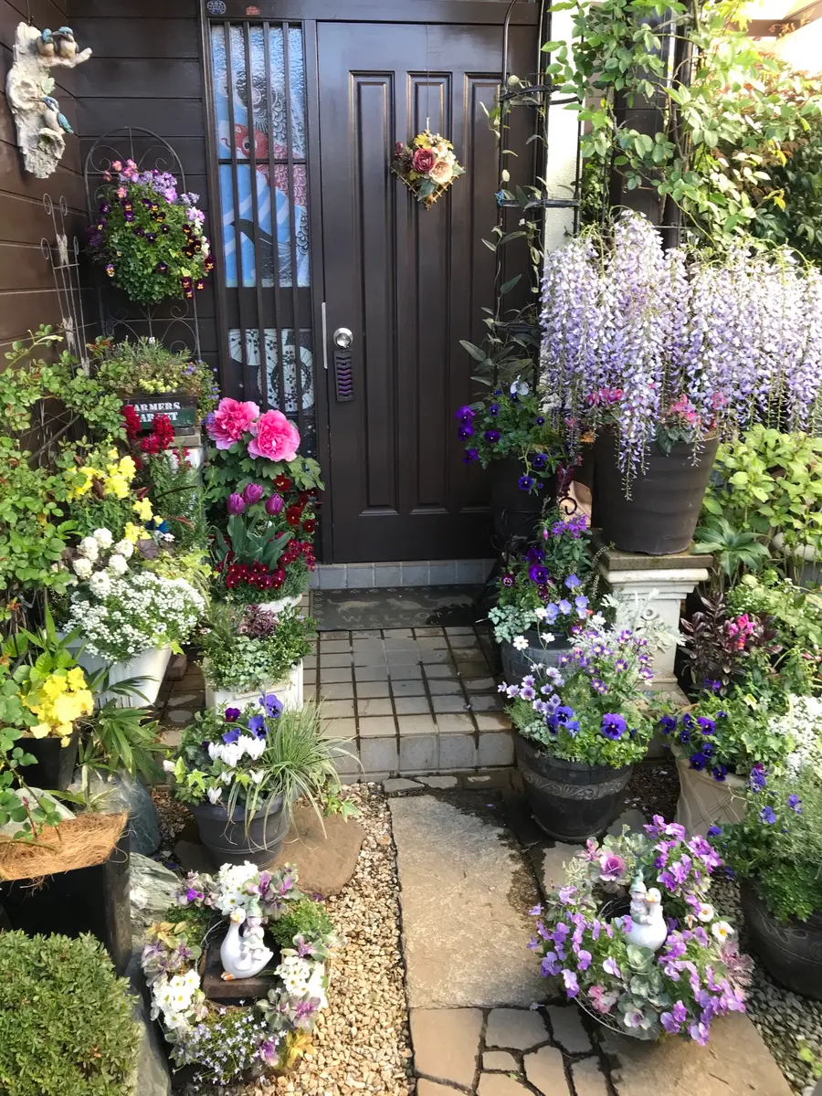 玄関前の様子です。去年一輪も咲かなか「季節の寄せ植えと