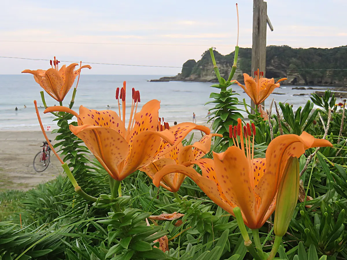 ユリ⭐︎様 ユリ⭐︎様 【公式通販】