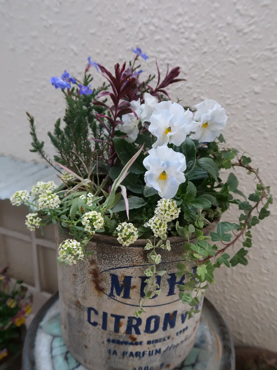 シエルブリエの寄せ植え花日和オリジナ「2021年令和3年の花」の