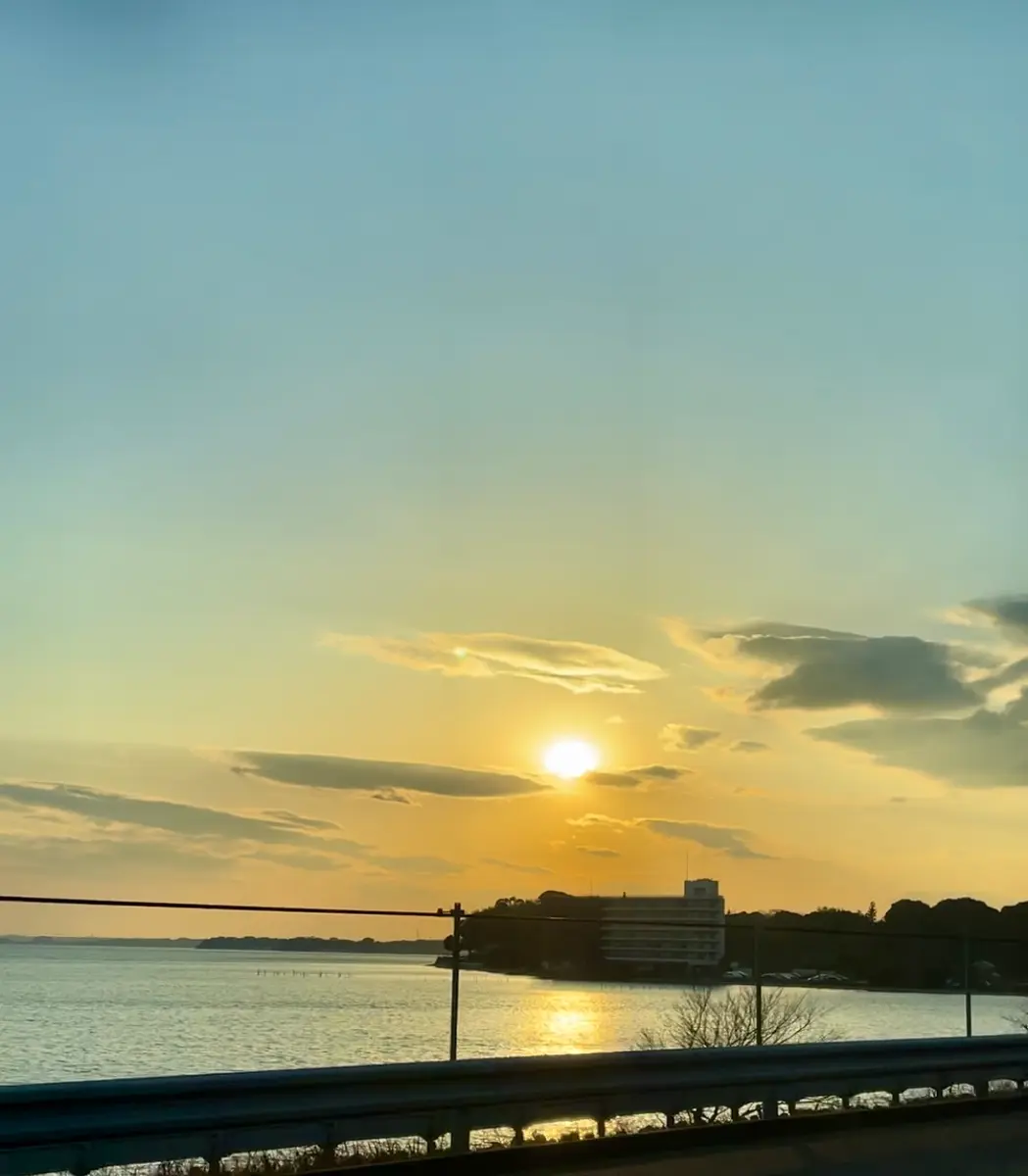 【お年玉セール特価】 浜名湖と夕景2/4撮影「番外編」のアルバム-みんなの趣味の園芸 野菜