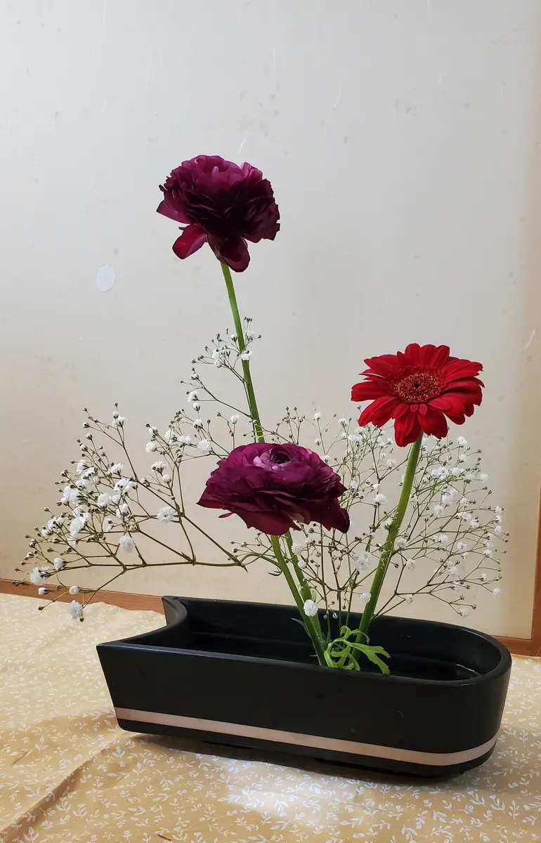 特価品セ ピンクガーベラの乙女な寄せ植え （ガーベラ、カスミソウなど その他