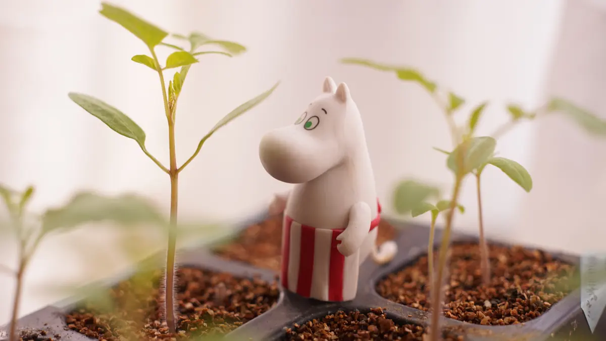 ミニトマトの苗とムーミンママ「2021春」のアルバム-みんなの趣味の