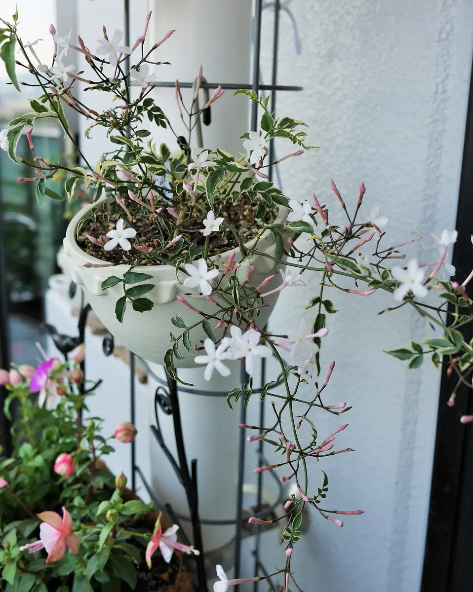 ミルキーカラーのフラワーアレンジメント ふわふわ羽毛 ふわふわ癒され