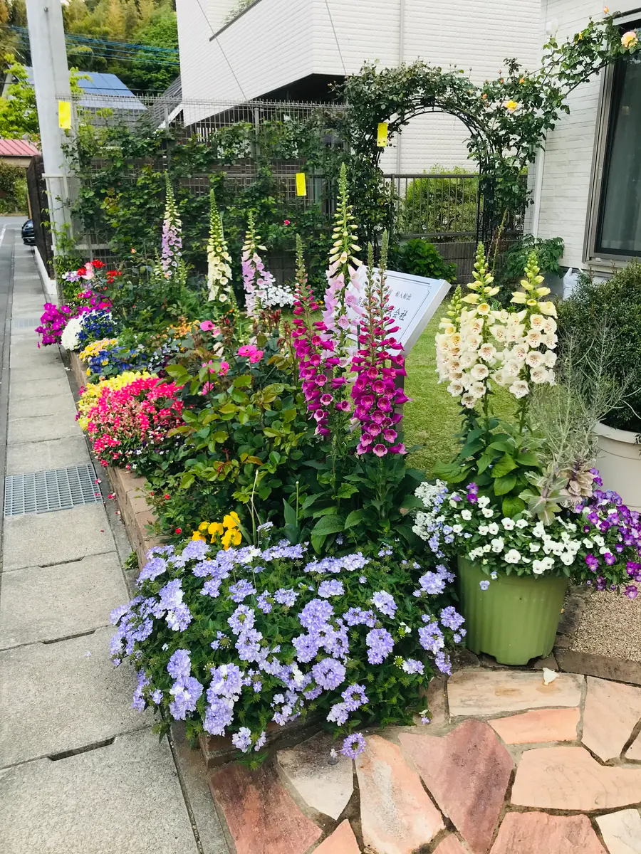 お花の苗　ブルーピンク　黄色 gp-yamacho_viola114