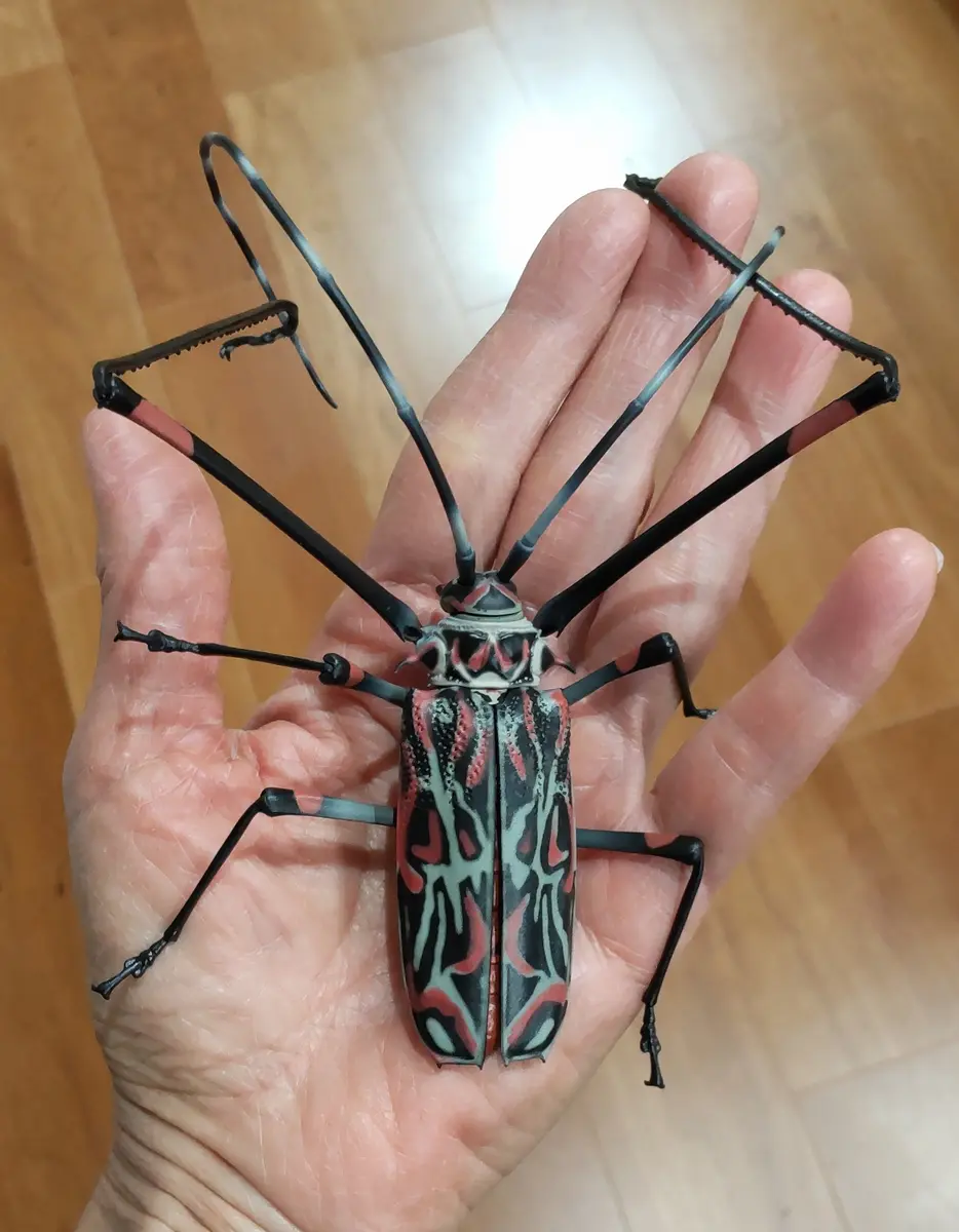 ガシャポンのテナガカミキリもゲット～「虫♪」のアルバム-みんなの